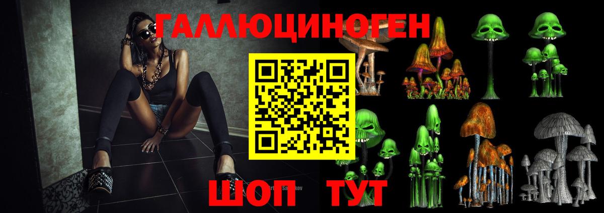 Галлюциногенные грибы Psilocybe  Вход с VPN  Псилоцибиновые грибы Psilocybe  Ефремов 